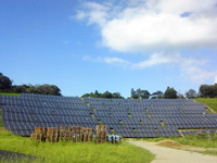 SOLAR FARM